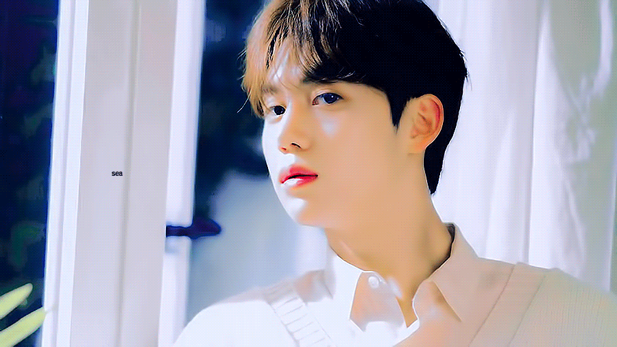 드리핀 곰도리 보실 분✊✊ | 인스티즈