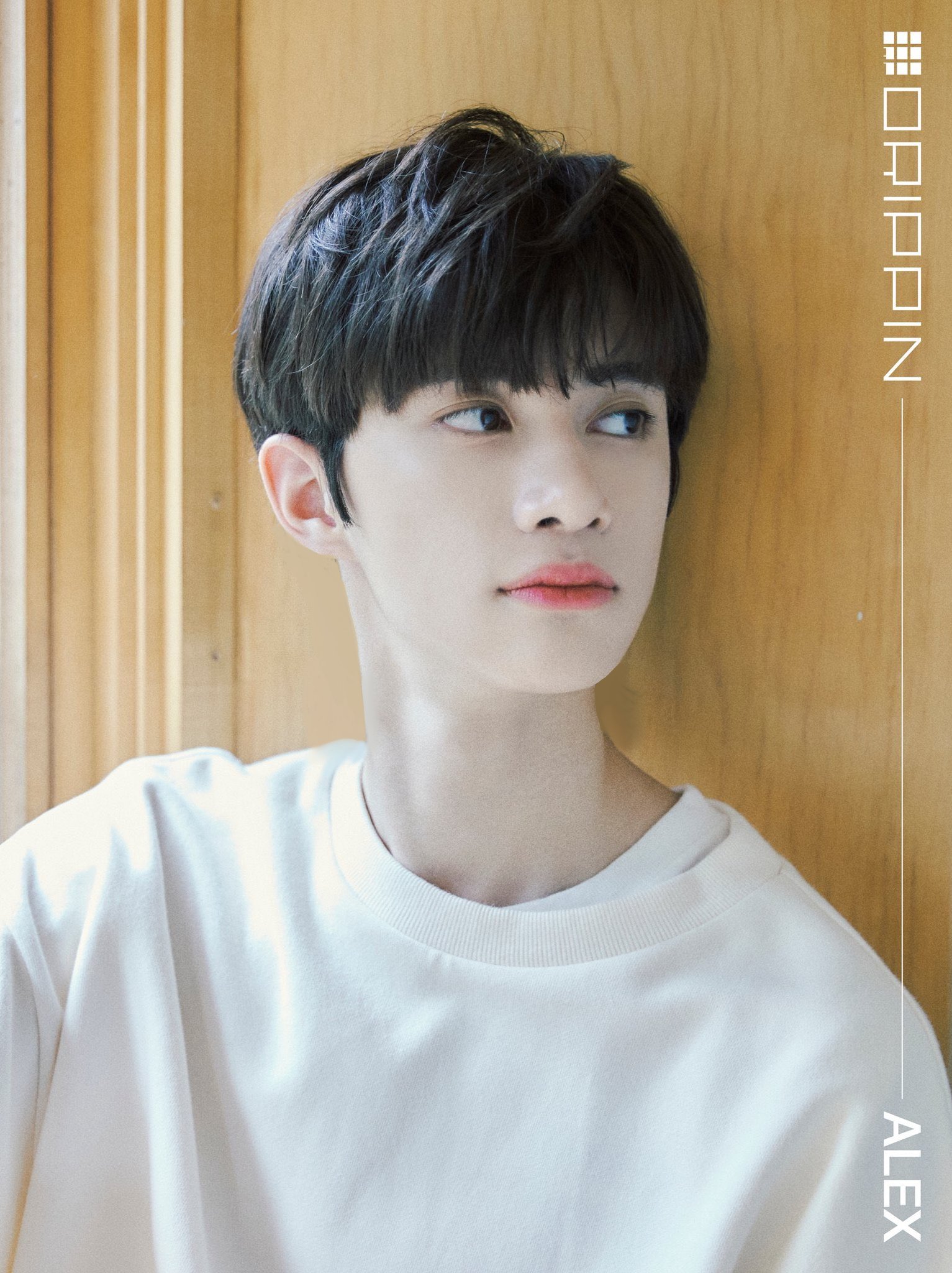 드리핀 알렉스 병지 없애주세요.... | 인스티즈