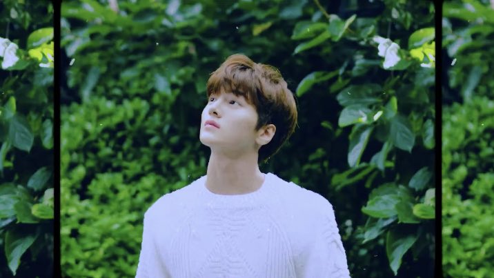 차준호 진짜 | 인스티즈