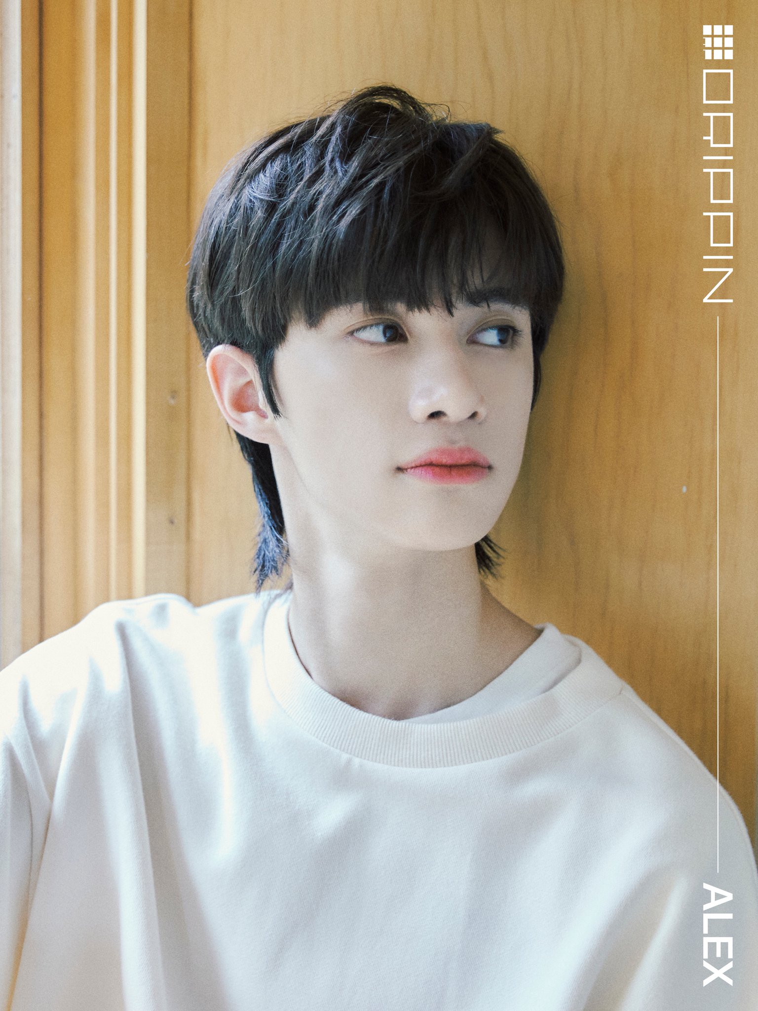 ❗️❗️드리핀 알렉스 병지 없앤 사진이래 | 인스티즈