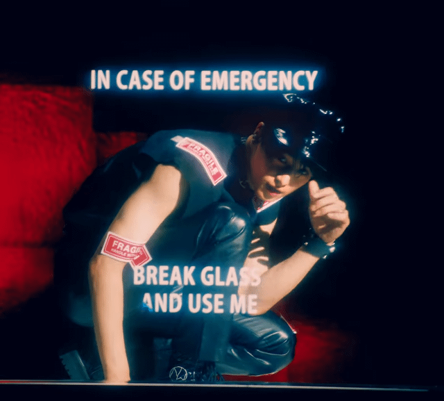 자기전에 내 최애들 자랑하고 간다 | 인스티즈