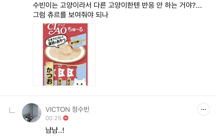 스스로 고양이 인증한 아이돌... 츄르사진에 반응하다 | 인스티즈