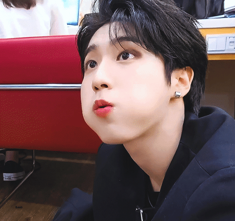 내 취향 돌들 팬아저 | 인스티즈