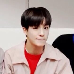 강아지 같은 거 좋아 | 인스티즈