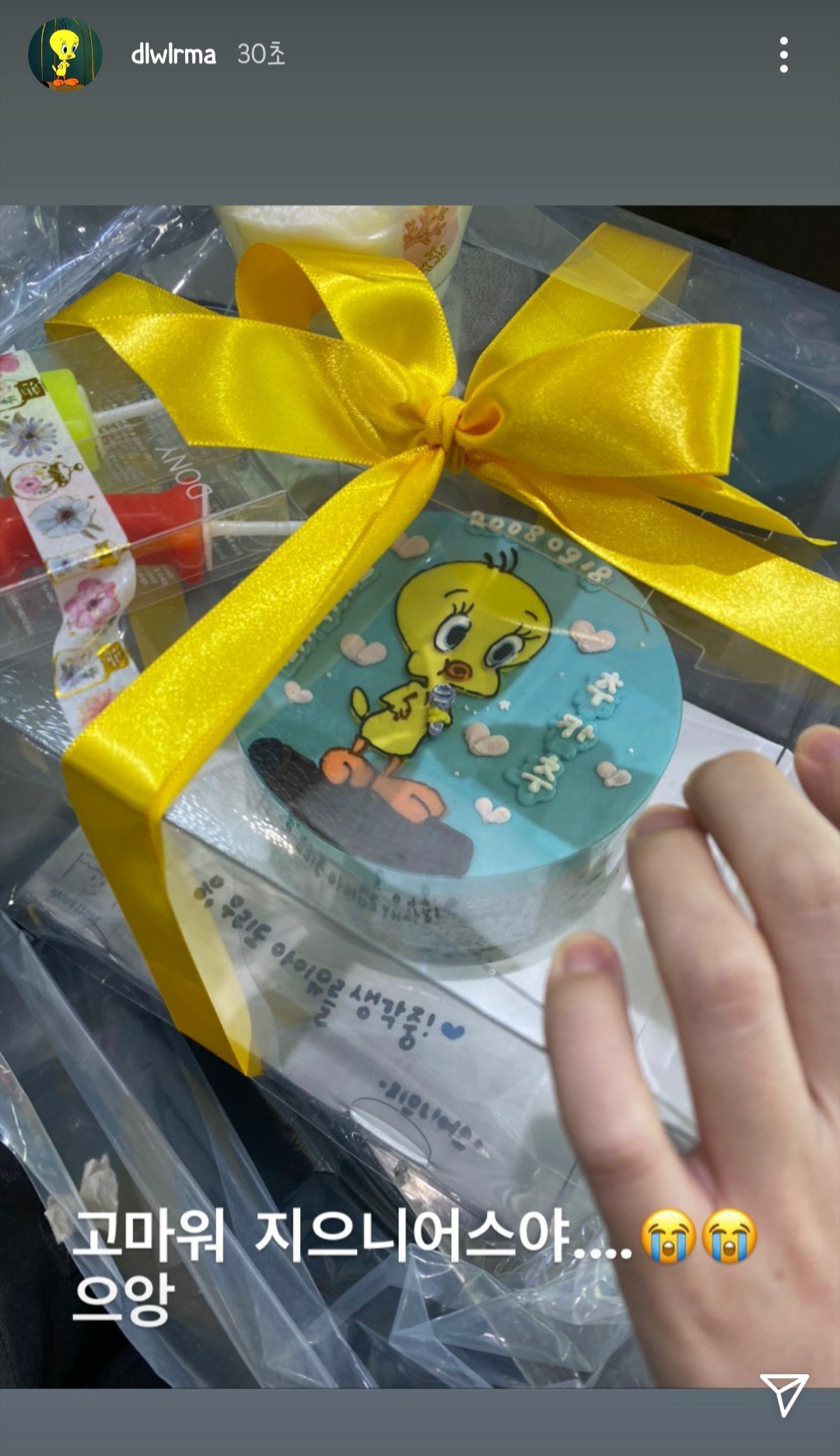 아이유 인스타 스토리 귀여워 | 인스티즈