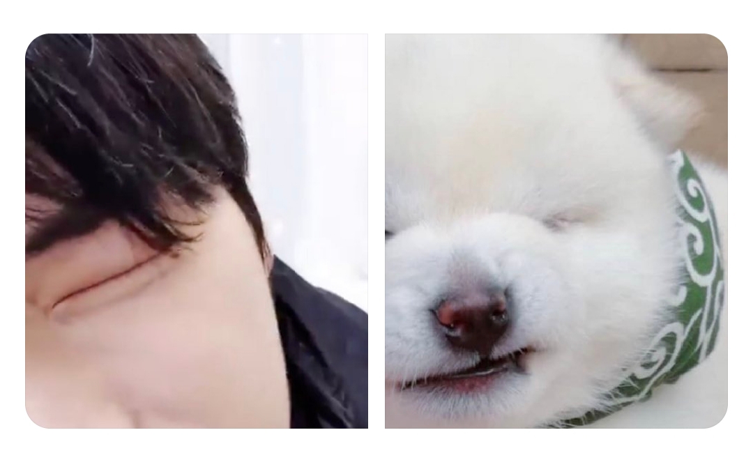 솔직히 강다니엘이랑 제일 닮은거 | 인스티즈