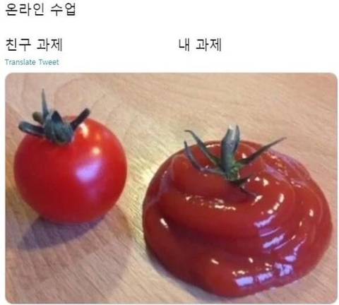 싸강하는 익들아 이런 짤 있어? | 인스티즈