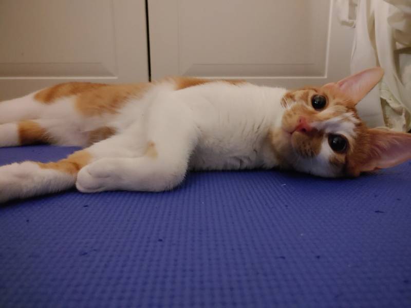 인생 2회차 살았다 | 인스티즈