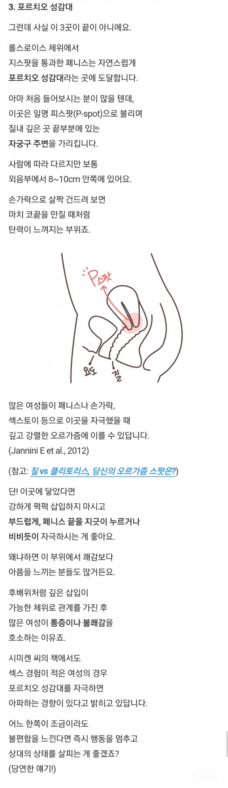 시미켄이 선정한 최고의 섹스 체위 | 인스티즈