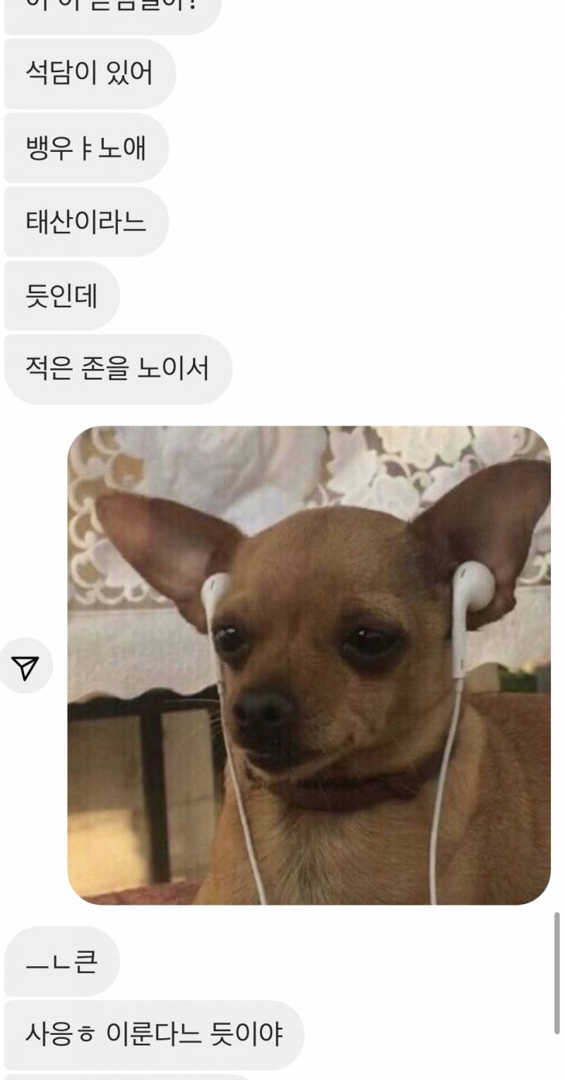 내친구 술취해서 디엠한 거 구경할사람 | 인스티즈