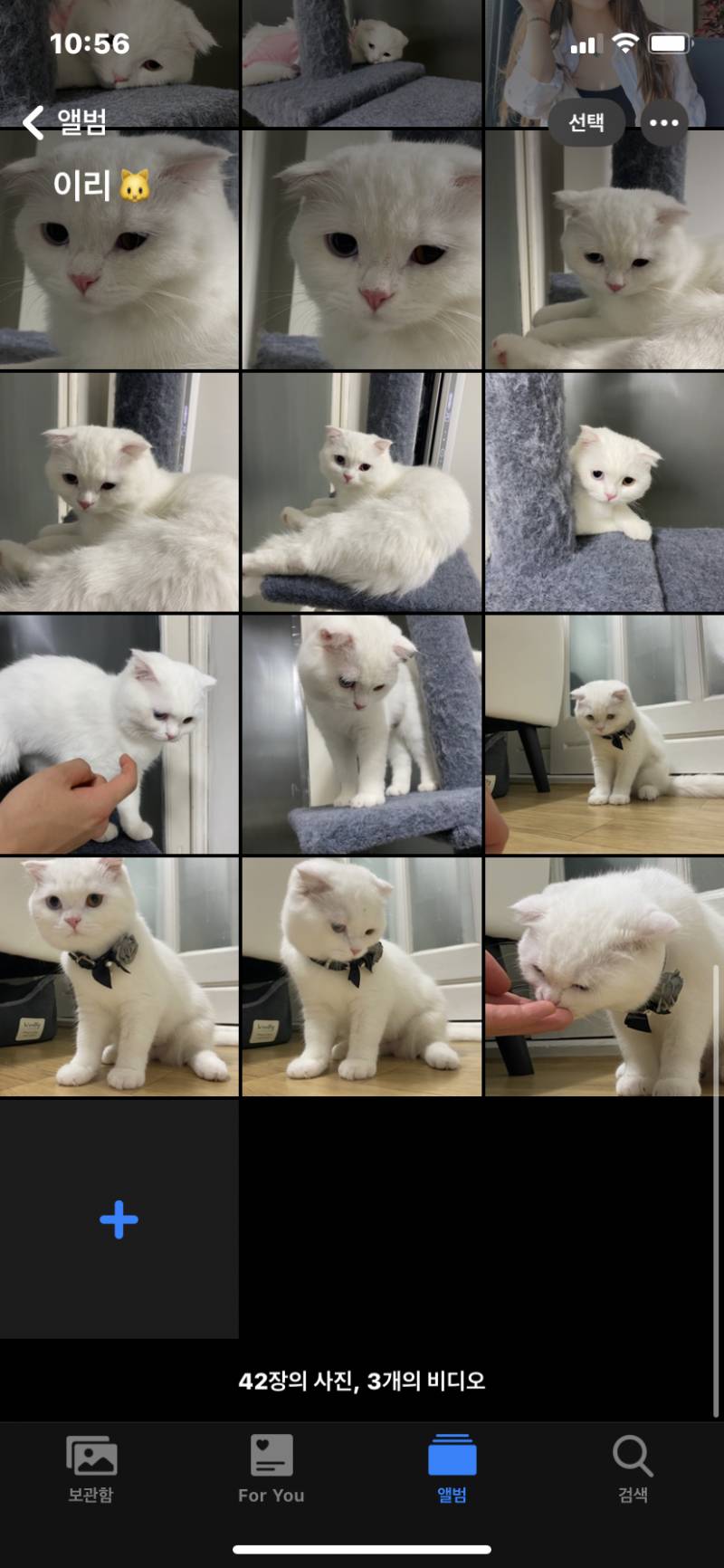 🍎ios14 갤러리도 바꼈네!!!🍎 | 인스티즈