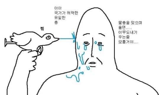 근데 커뮤에서 진짜 찐으로 마상 당한 적 은근 많다아님? | 인스티즈