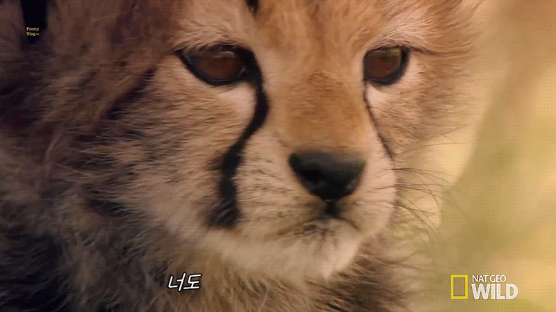 너도... 평생...자랑해주면안돼...? | 인스티즈