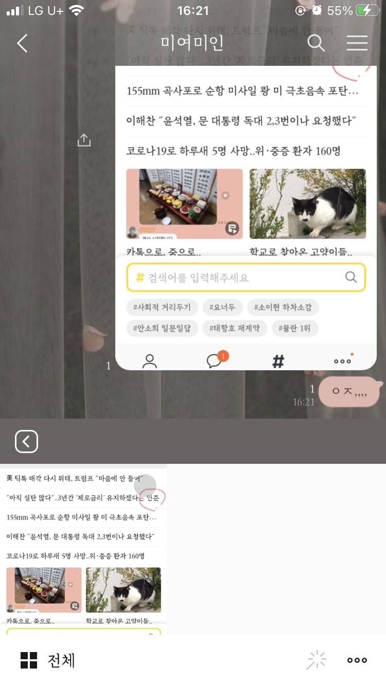 오늘 아이폰 업데이트한 익들 카톡 접근권한 뭐시기 뜨면 무조건 모든 사진으로 해 | 인스티즈