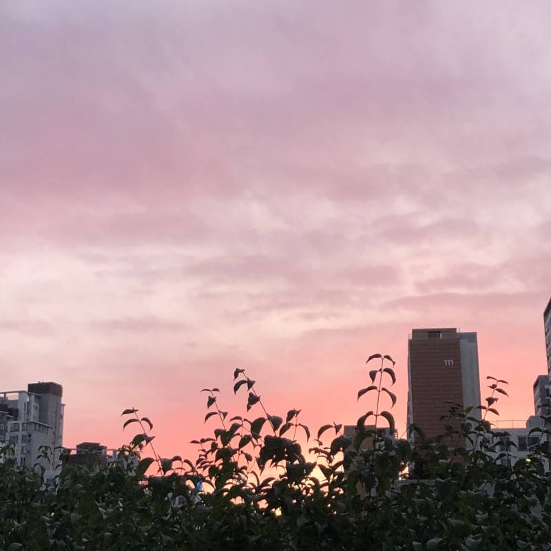 헐 하늘 대박 | 인스티즈