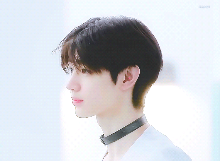 타팬들아 얘 동물 뭐 같아? | 인스티즈