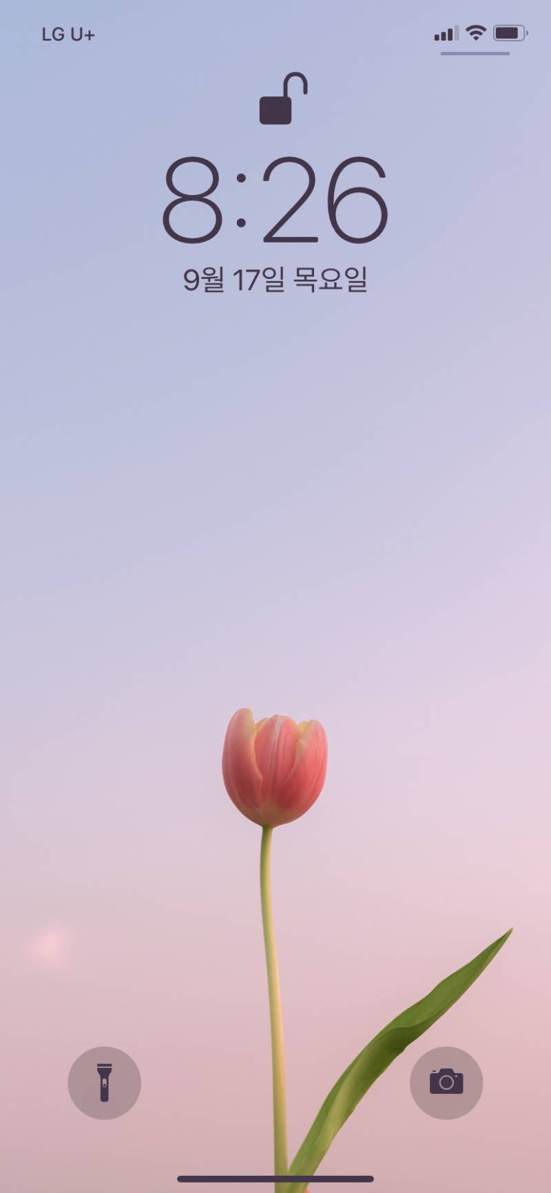 내 잠금화면 예쁘다 | 인스티즈