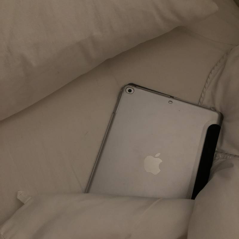 침구 새로 깔았다 | 인스티즈