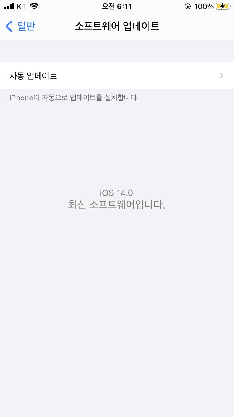 ios14로 업뎃 했는데 아직 다 안써봤지만 난 만족💖 | 인스티즈