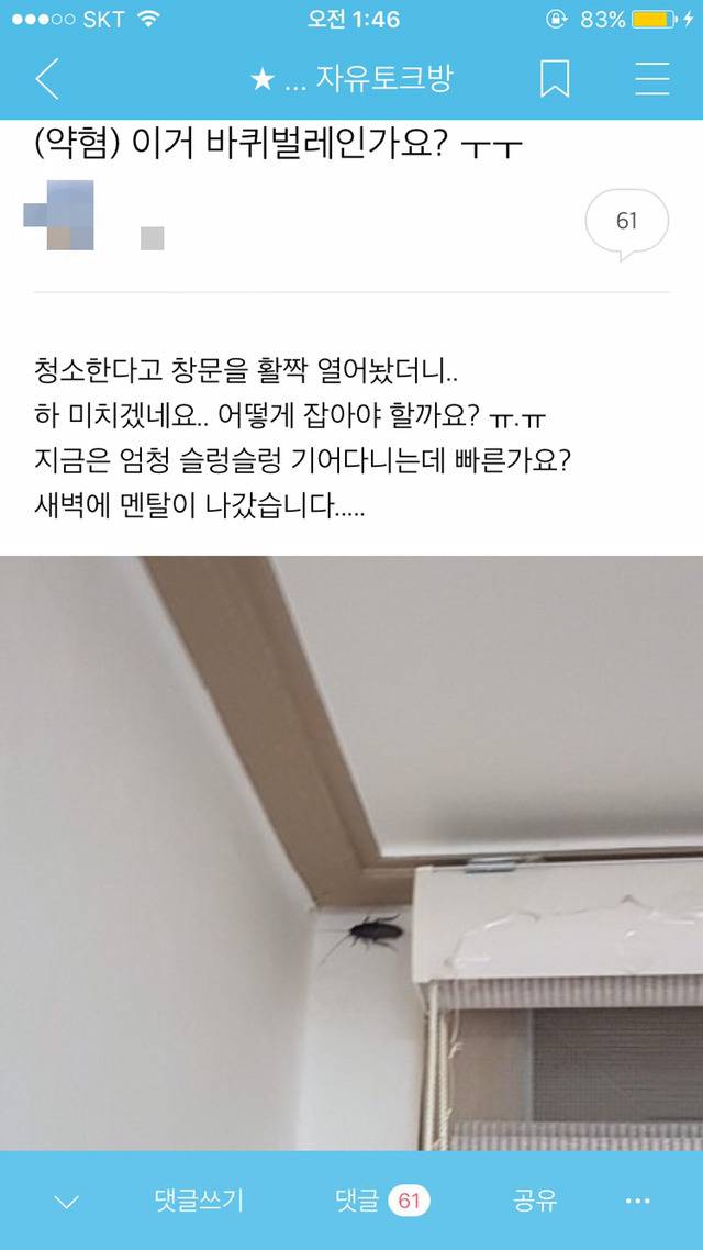 전에 주운 사진인데 이거 진짜일까..? (왕 바퀴벌레 사진 있음!! 무서움주의) | 인스티즈