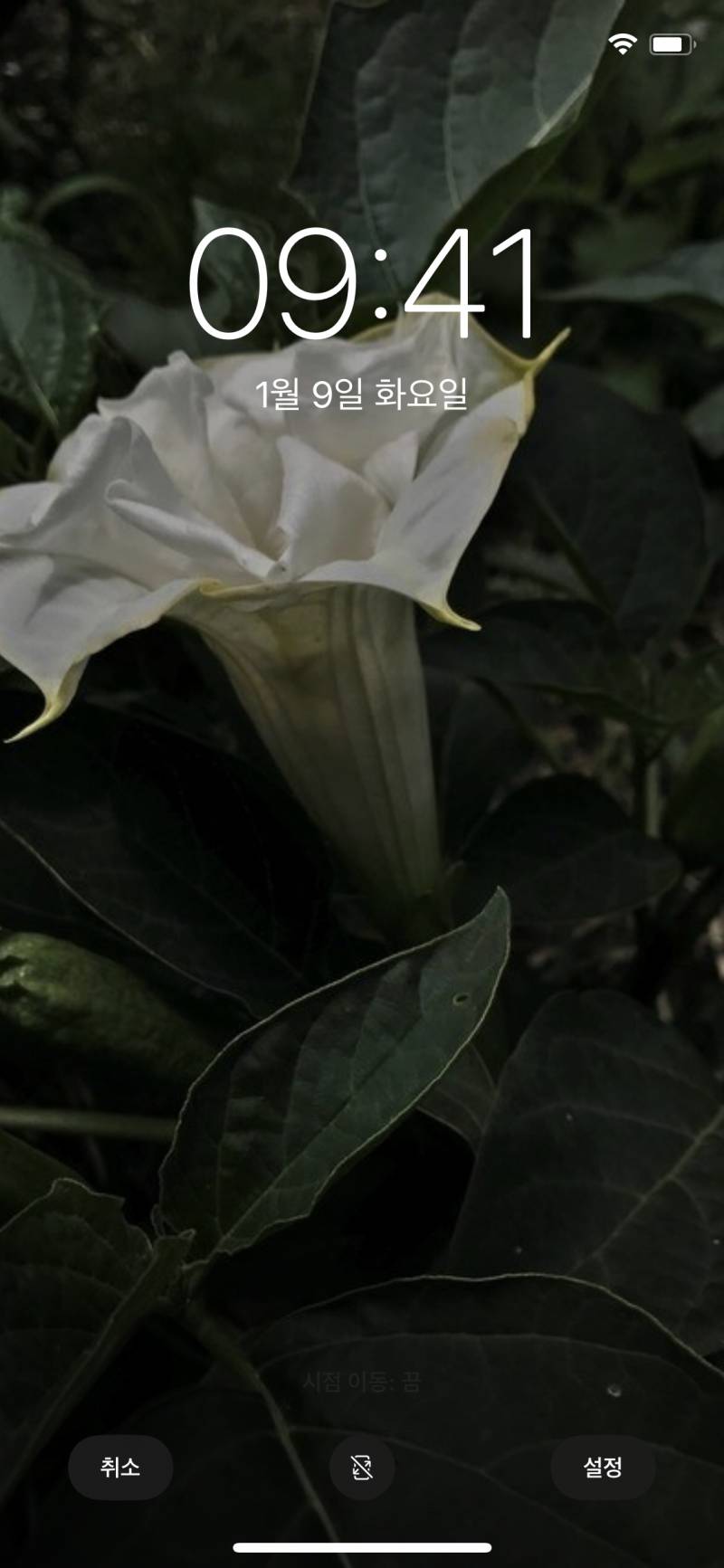 ios14업뎃했는데 잠금화면 왜이래? | 인스티즈