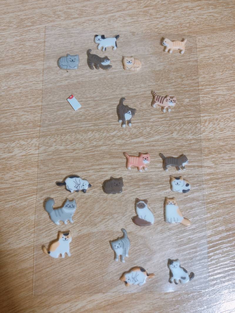 고양이 스티커 | 인스티즈