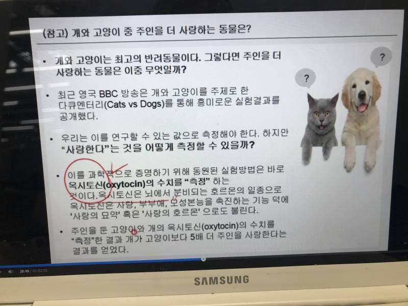 고양이 보다 개가 주인을 더 사랑한대 | 인스티즈