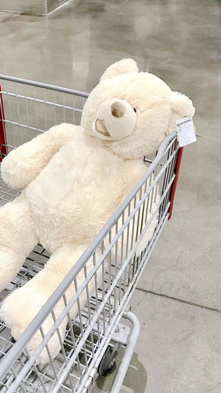 🌳🌞내가 좋아하는 아이폰 잠금화면 모음🍒🥑 3탄 | 인스티즈