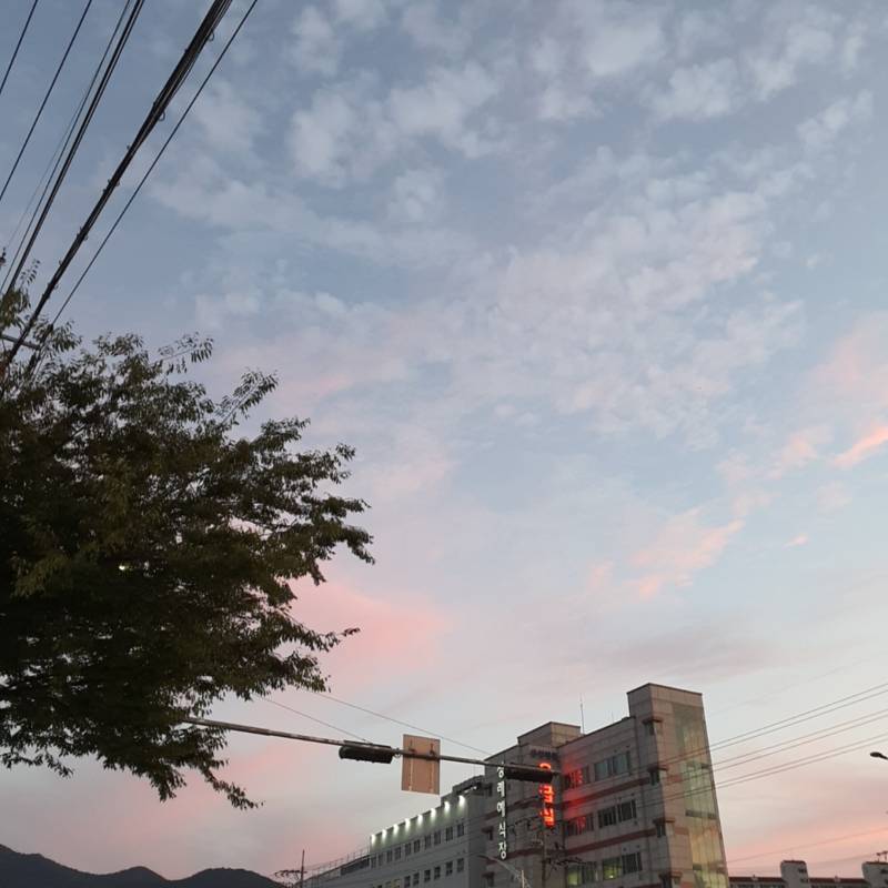 하늘 보니까 이나솜 먹고 싶다 | 인스티즈