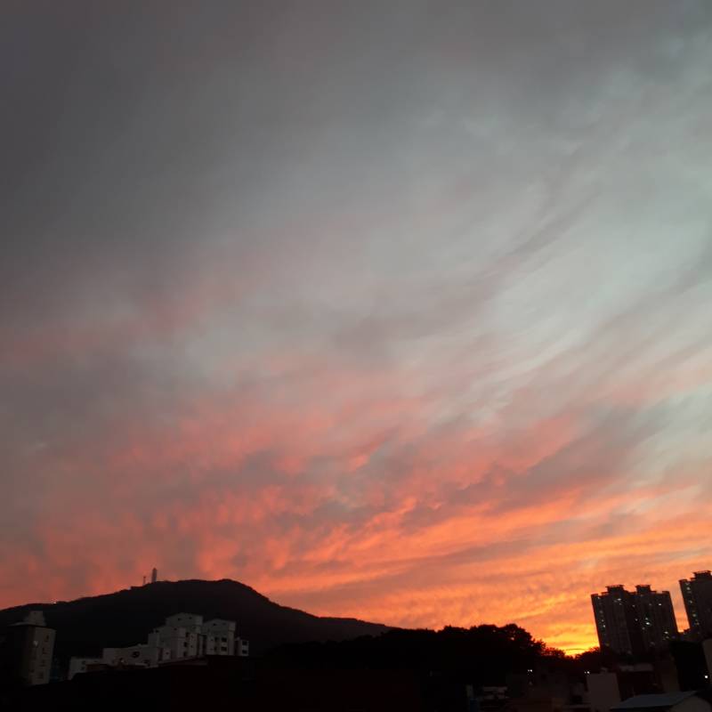 우와 봐봐 지금 하늘 너무 이뻐 구름이 핑크색이야💕 | 인스티즈