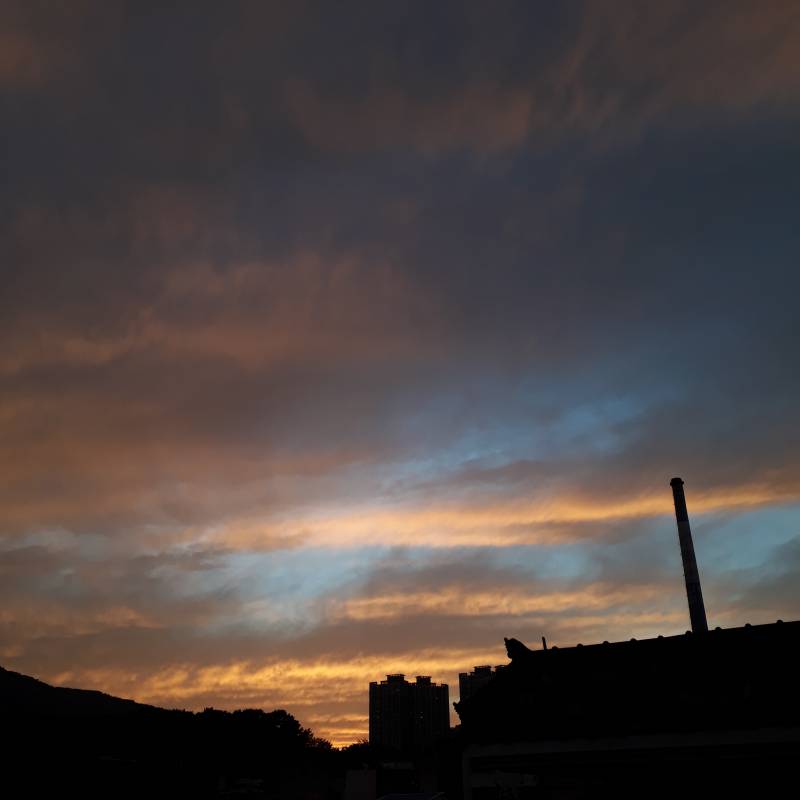 우와 봐봐 지금 하늘 너무 이뻐 구름이 핑크색이야💕 | 인스티즈