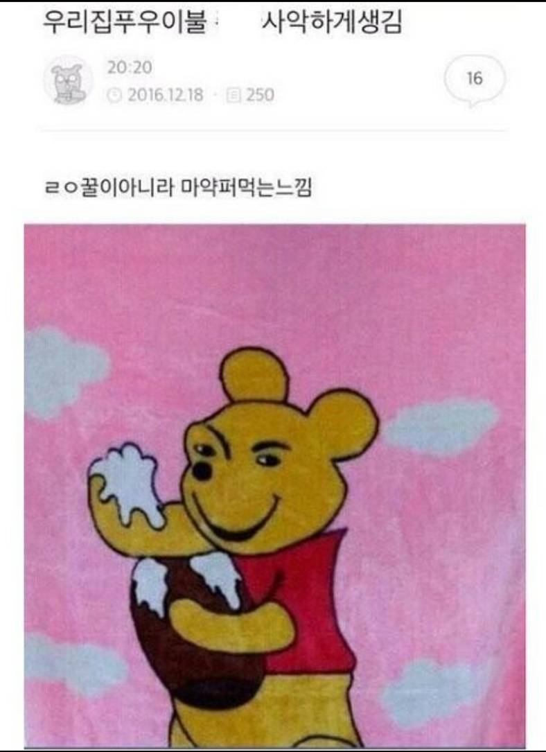 푸가 먹고있는 저거 꿀 맞니?🙄🙄 | 인스티즈