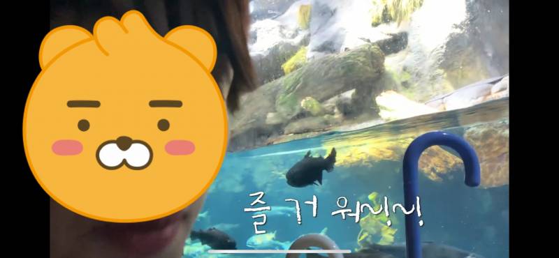 토모토모 브이로그 이 자막 폰트 알려줄 사람 있어?ㅠㅠㅠㅠ | 인스티즈