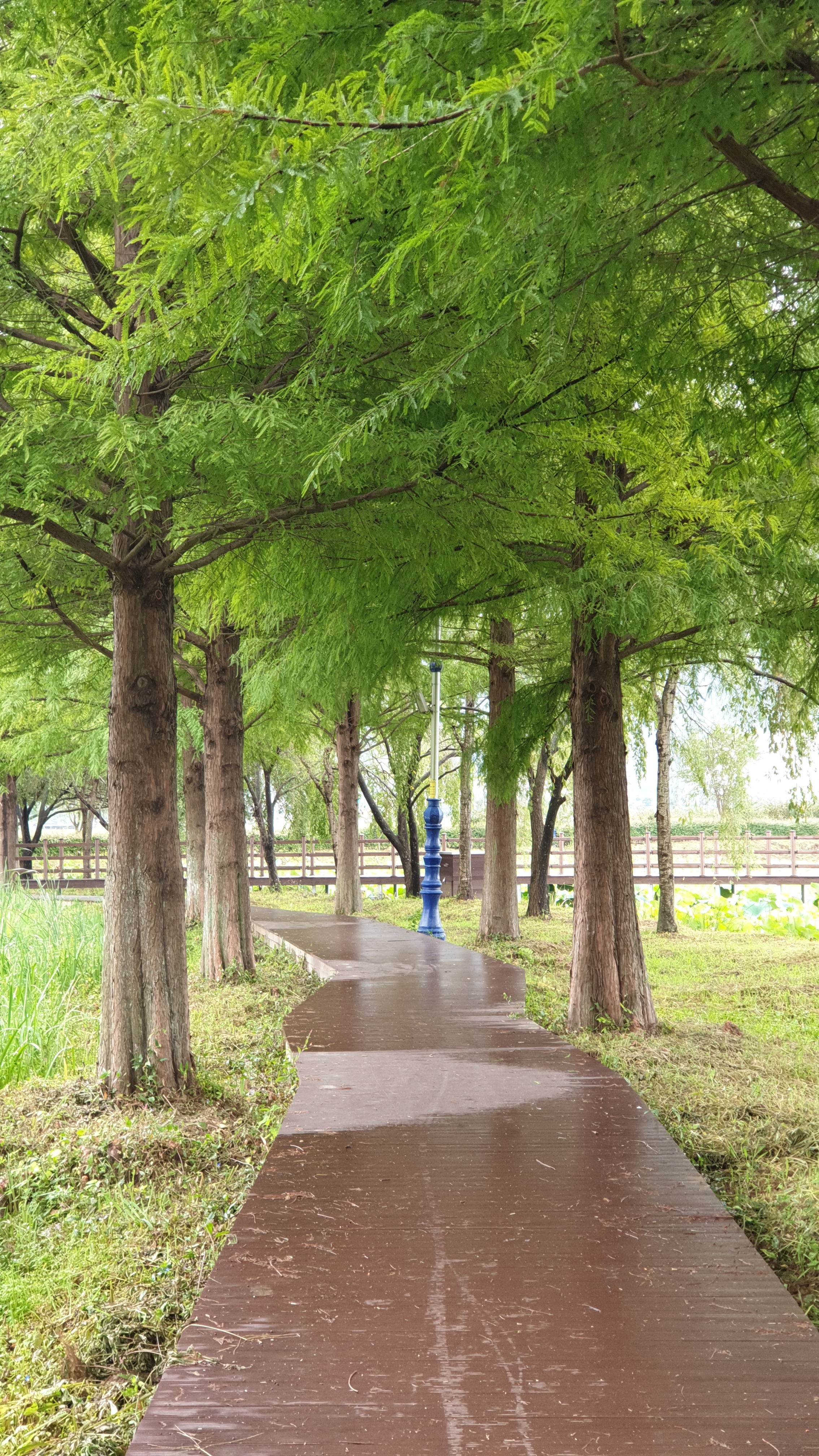 아침 운동 나왔는데 세상 살기 좋은 듯ㅋㅋㅋ | 인스티즈