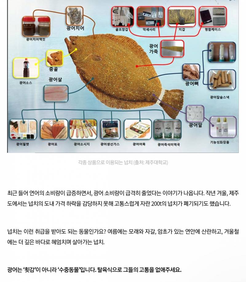 근데 동물원이랑 아쿠아리움 안가는 익들은 대부분 비건인가? | 인스티즈