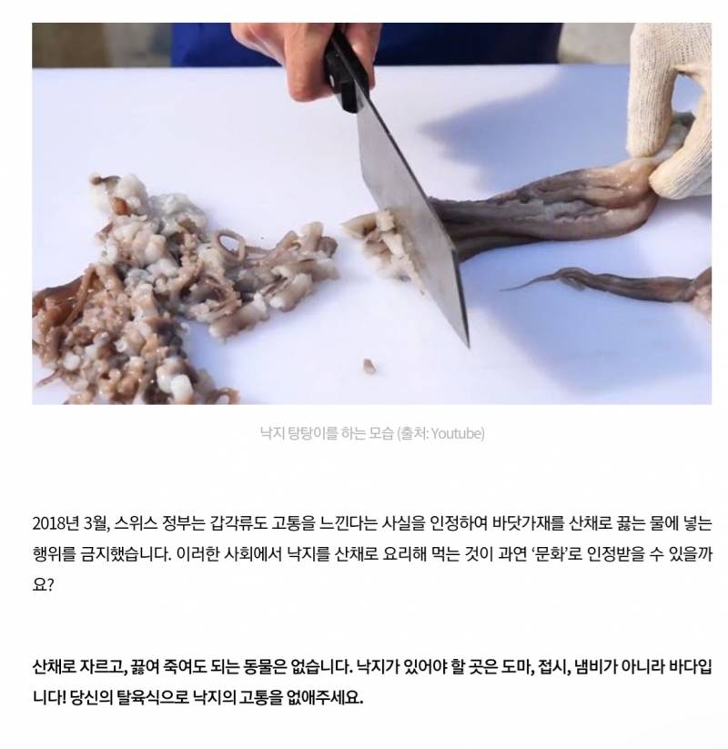근데 동물원이랑 아쿠아리움 안가는 익들은 대부분 비건인가? | 인스티즈