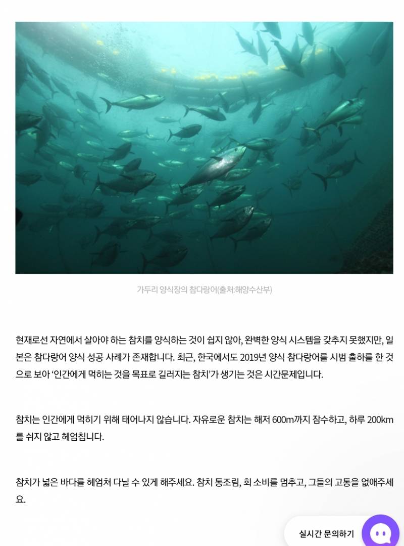 근데 동물원이랑 아쿠아리움 안가는 익들은 대부분 비건인가? | 인스티즈