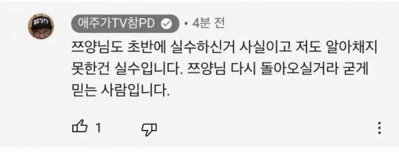 진짜 이거 ㅊㅍㄷ가 댓글 단건가??? | 인스티즈