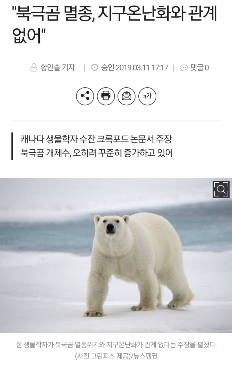 지구 온난화랑 북극곰 멸종이랑 전혀 관계 없다는데?? | 인스티즈