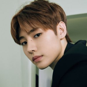 엔하이픈 위버스 프로필 사진 | 인스티즈