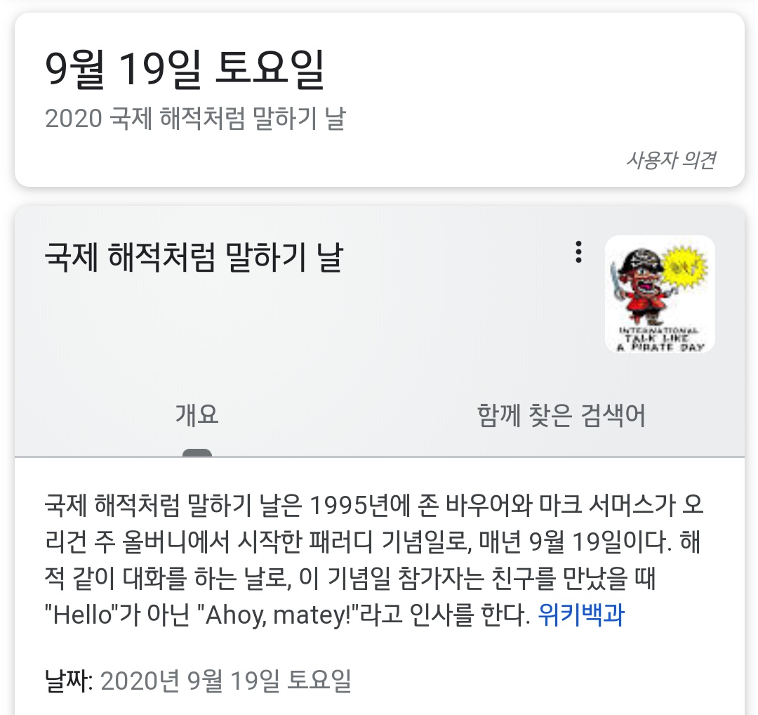 해적러들 있어? 오늘은 국제 해적의 날이래 | 인스티즈