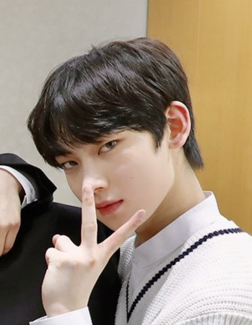 엔하이픈 김선우 얼굴은 여우인데 영혼은 토끼임 | 인스티즈