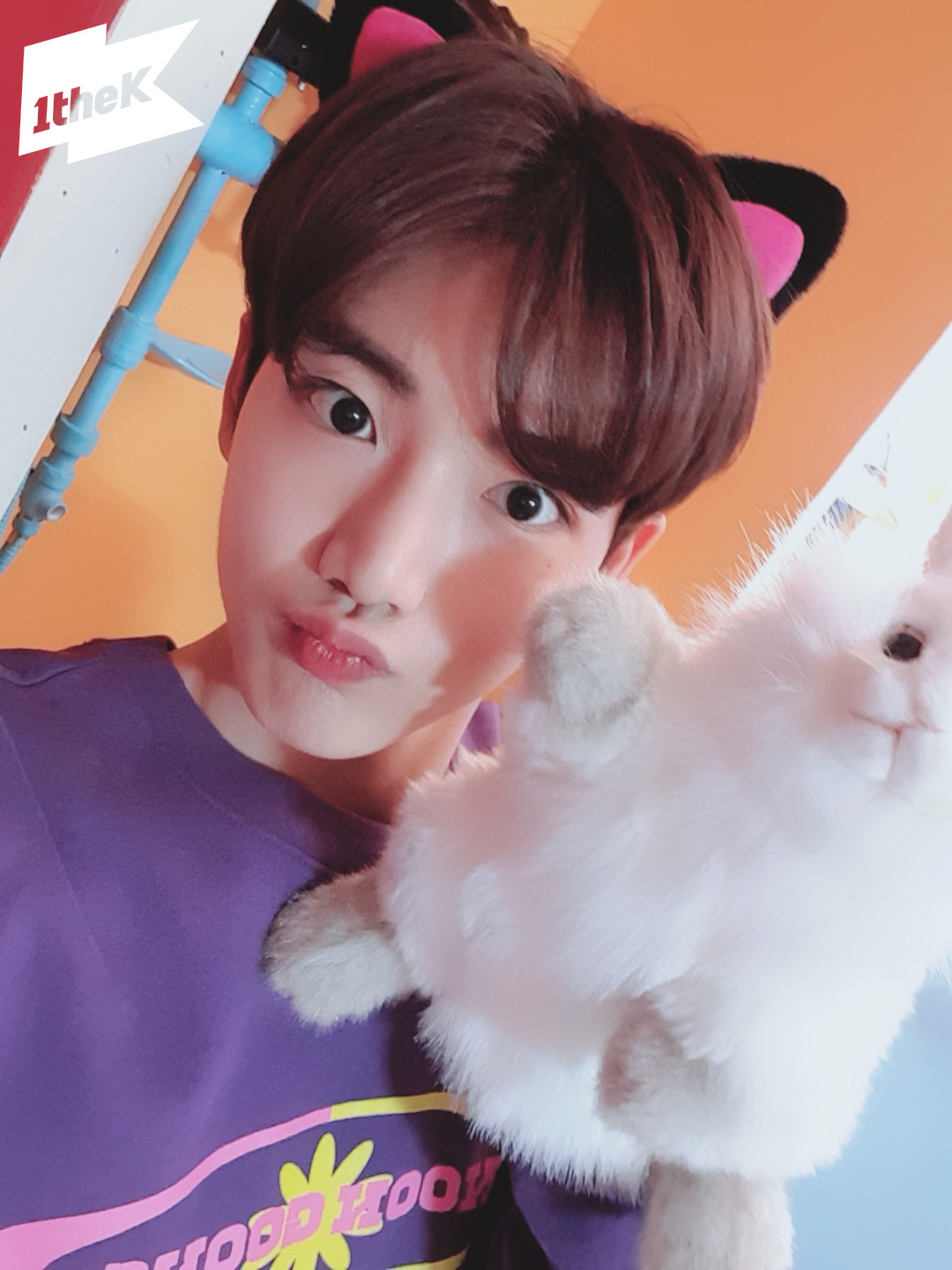 진짜 트레저 김준규 고양이에 너무 진심이닼ㅋㅋㅋㅋㅋㅋㅋㅋ | 인스티즈