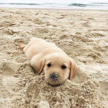 엔하이픈 제이크 심재윤 넌 정말 최고의 인절미다 | 인스티즈