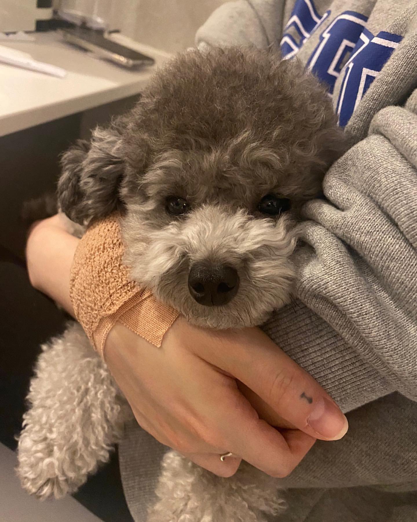 태연언니 손목 왜이래?ㅠㅠㅠㅠㅠㅜㅜ | 인스티즈