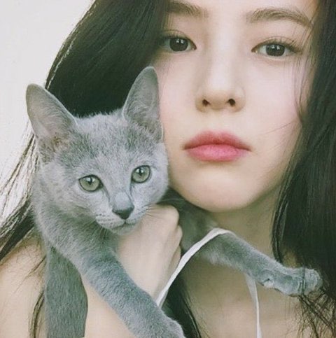 🤍본진 인스타 좋아요 일등했다🤍 | 인스티즈