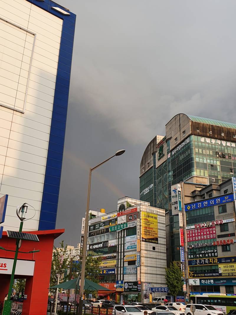 무지개떴다 | 인스티즈