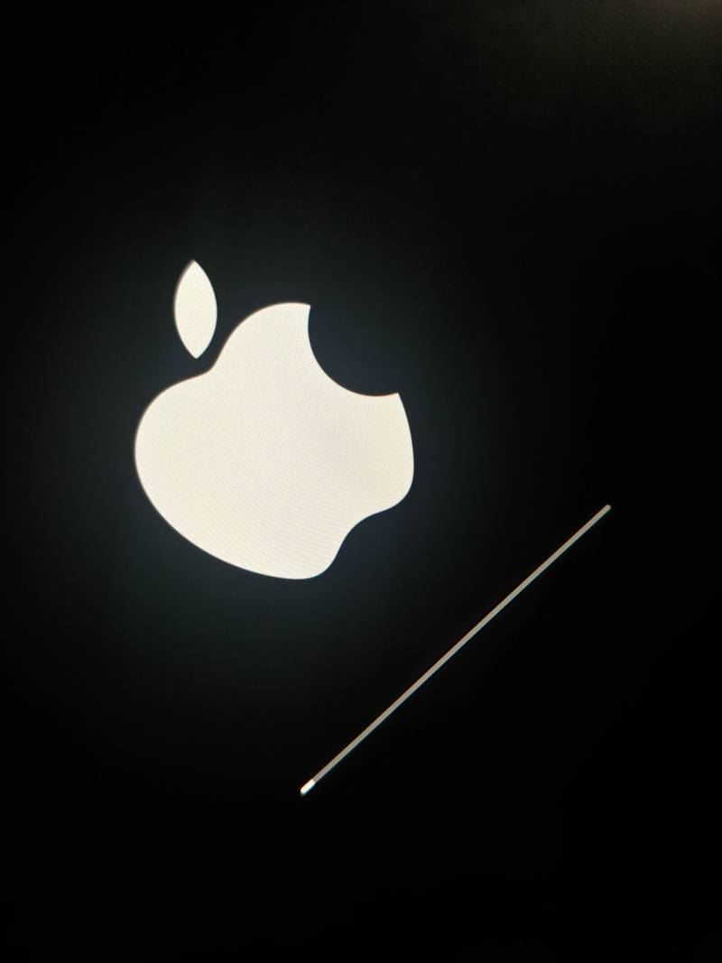 헐 아이패드 갑자기 안켜져서 뭔가 햇는데 | 인스티즈