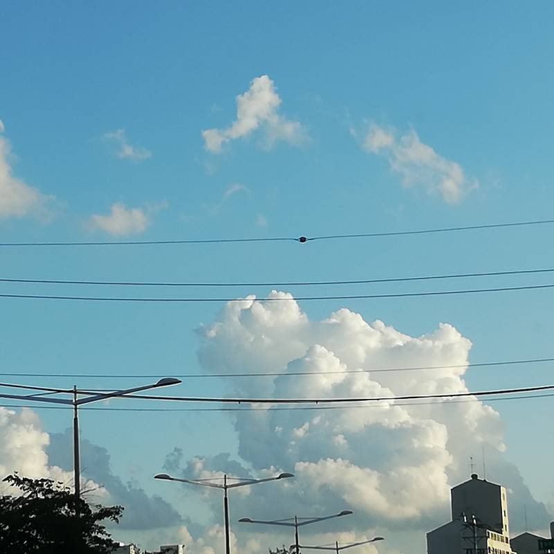 어제 하늘 진짜 예뻤어 | 인스티즈