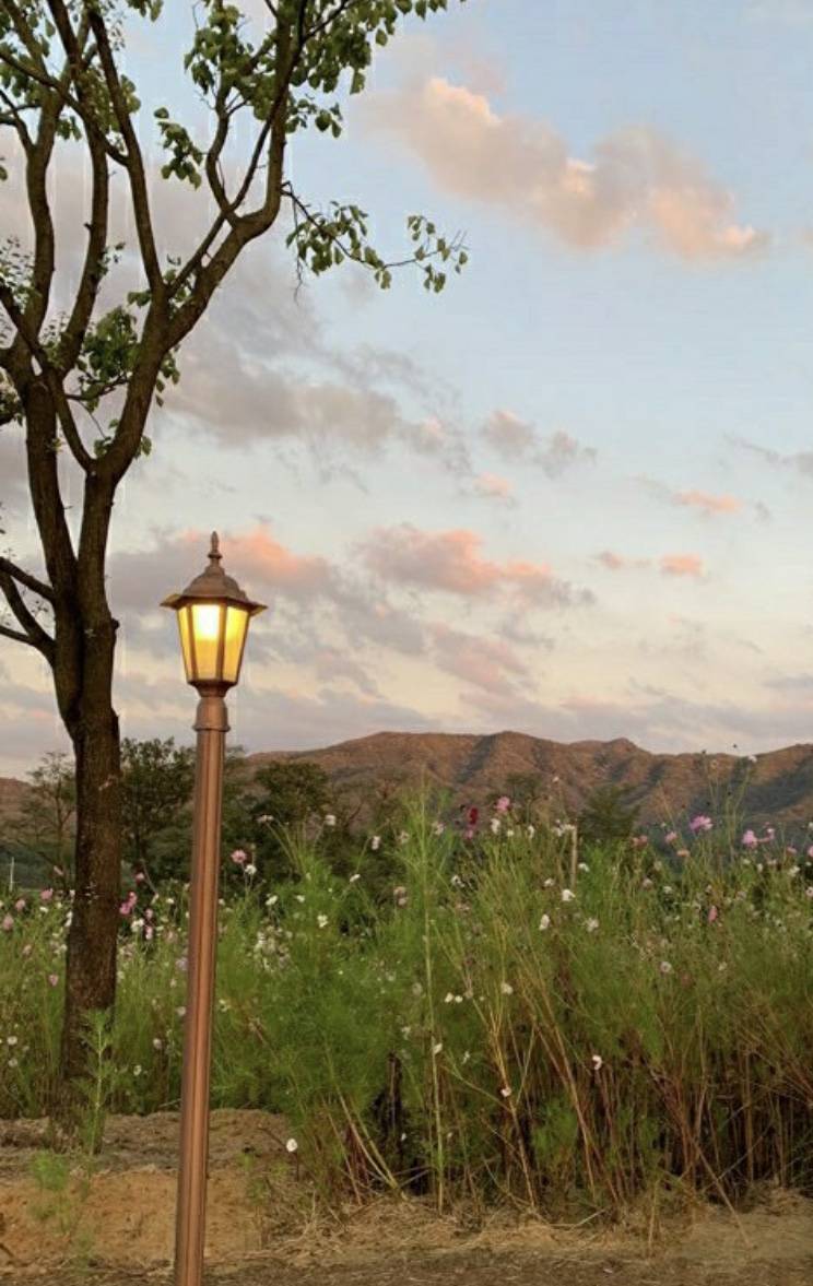 혹시 여기가 어디인지 아는 익!!ㅠㅠ | 인스티즈
